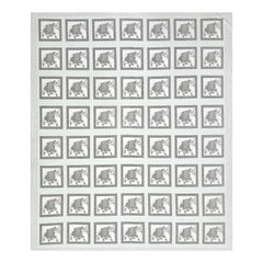 Kalakriti Mughal Caravan Pure Cotton  Bedsheet With 2 Plow Covers